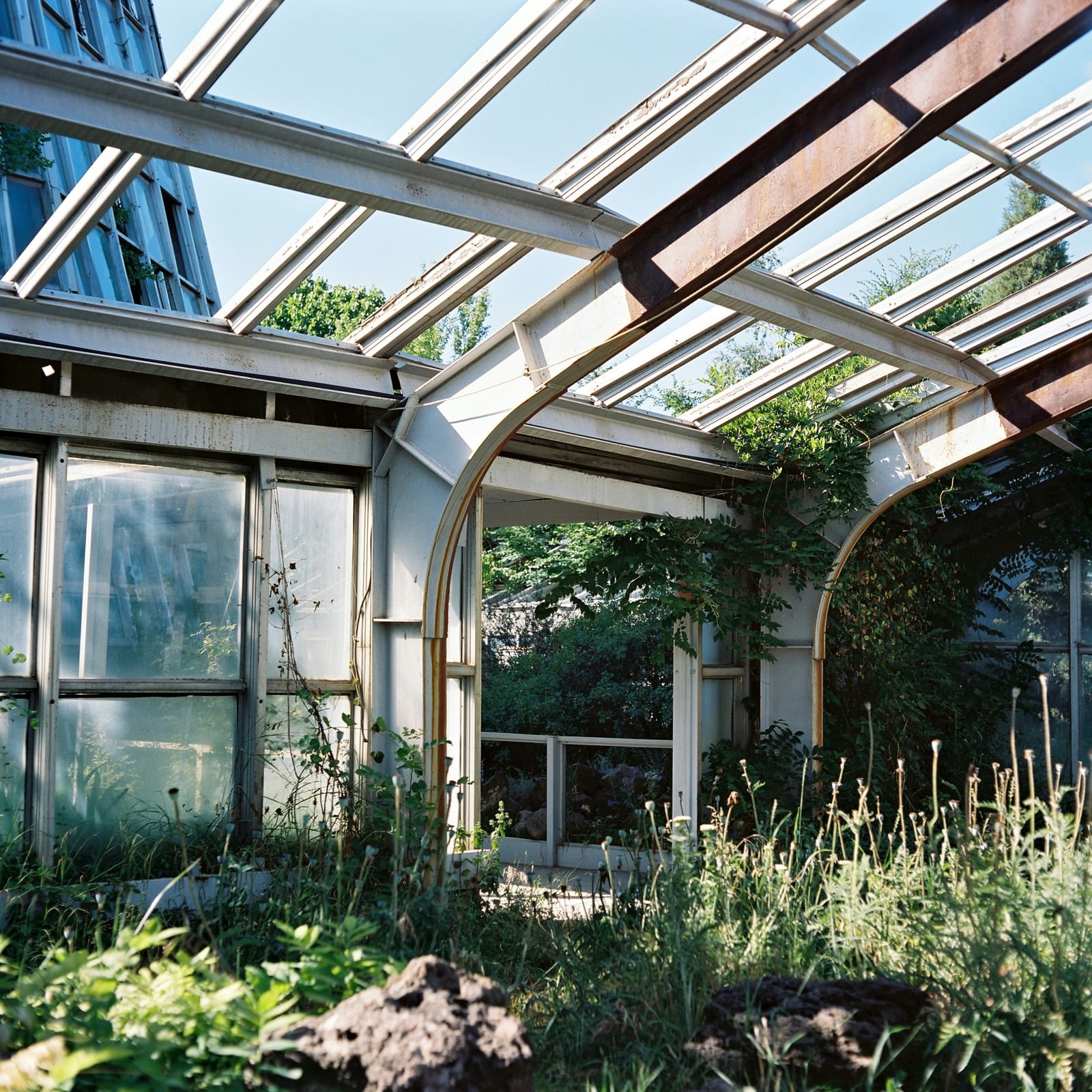 Learning from and Designing with Nature: A Webinar Series