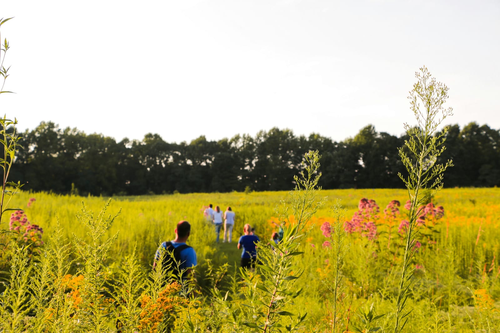 Intergenerational Eco-Cultural Mapping: Co-Designing the Future with Young People