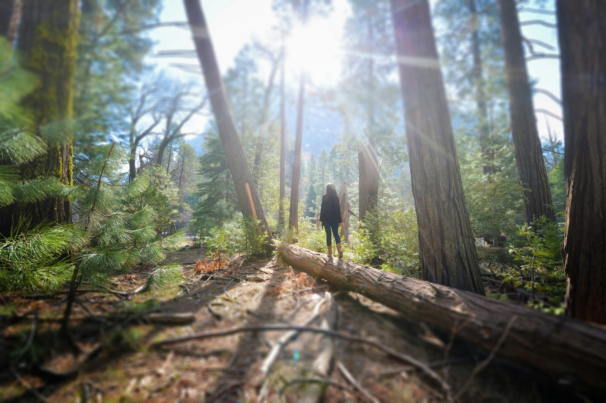 Cultivating Connection &  Belonging - Ecopsychology Practices