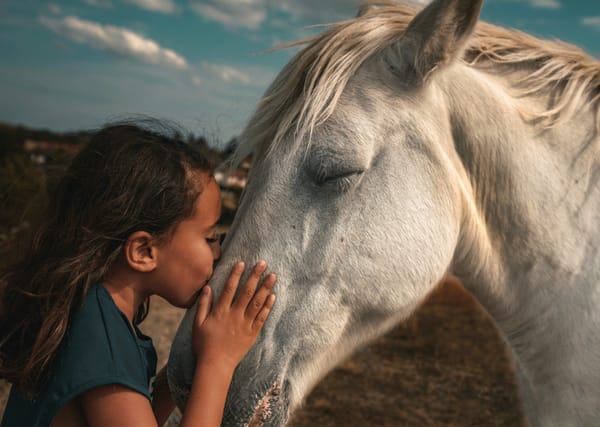 Human-Nature Conversations