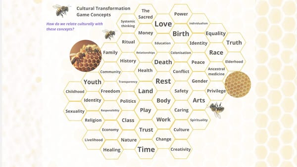 Cultural Transformation Game